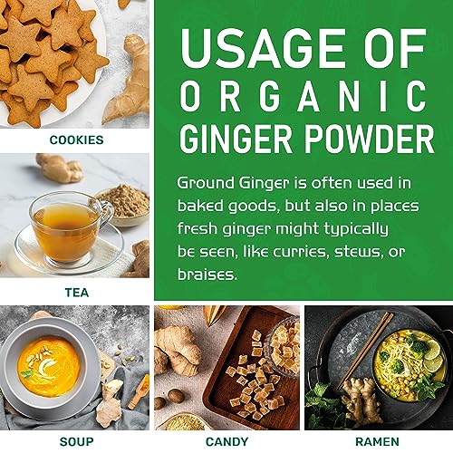 Jiva Organics Organic Ginger Root Powder 1 LB Jar - Gluten Free, Non-GMO - for Cooking, Baking, Tea & More - Bulk Ginger Ground Dry