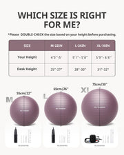 Trideer Yoga Ball – Anti-Burst Exercise Ball for Pregnancy, Office, Birthing, Stretching & Core Workout – Home Gym & Therapy