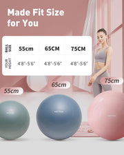YOTTOY Anti-Burst Exercise Ball for Working Out, Yoga & Pregnancy, Extra Thick Workout Ball for Physical Therapy & Fitness