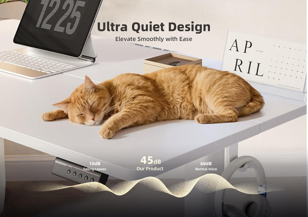 YDN Electric Standing Desk Adjustable Height, 40 x 24 Inches Stand up Desk with Cable Management, Home Office Desks with Splice Board & White Frame, White Top