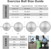 Yoga Ball, 18-30 Inch Extra Thick Exercise Ball for Workout Fitness Balance, Anti Burst Chair for Home and Office Desk, Includes Hand Pump & Workout Guide Access