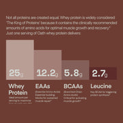 Whey Protein Powder, Chocolate Brownie, 25 Grams of Protein and Only 1 Gram of Sugar per Serving, 2 lbs, 25 Servings