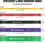 Odoland 5 Packs Pull Up Assist Bands, Pull Up Straps, Resistance Bands with Door Anchor and Handles, Stretch Mobility, Powerlifting and Extra Durable Exercise Bands with eGuide