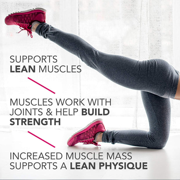 Pure Protein Bars Chocolate Variety Pack (18 ct)