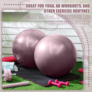 Leyndo 4 Pcs 26 Inch Yoga Exercise Ball Pilates Pregnancy Birthing Fitness Ball with Quick Pump Anti Burst for Improved Posture, Balance, Yoga, Pilates, Training