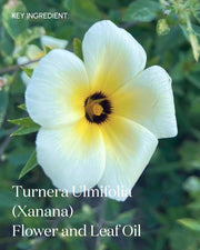 The Renewal Daily Facial Cleanser, Rich & Hydrating Oil-Based Gel Cleanser Face Wash, Vegan & Organic Face Cleanser with Seje Fruit Oil, 100mL Cleansing Gel