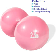 Trademark Innovations Weighted Toning Exercise Ball - Set of 2