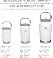 Stanley IceFlow Flip Straw Jug with Handle 64 oz| Twist On Lid and Flip Up Straw | Leak Resistant for Travel and Sports | Insulated Stainless Steel | BPA-Free | Azure