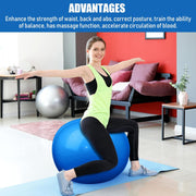 Leyndo 4 Pcs 26 Inch Yoga Exercise Ball Pilates Pregnancy Birthing Fitness Ball with Quick Pump Anti Burst for Improved Posture, Balance, Yoga, Pilates, Training