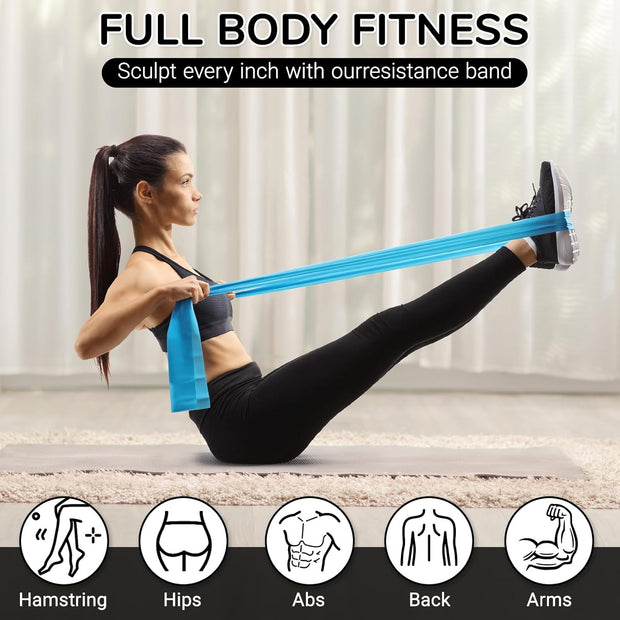 TOPZGLEEY Pilates Ring and Ball Set with Resistance Bands - Pilates Equipment for Home Workout - 14'' & 12'' Pilates Rings, 2 Pilates Balls, 5 Resistance Bands,Guide