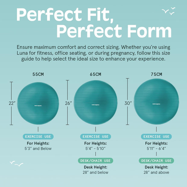 Retrospec Luna Exercise Ball with Pump - Anti-Burst Fitness Equipment for Yoga, Core Training & Stability - Home Gym Swiss Ball for Office & Pregnancy