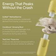 Seed AM-02 Energy + Focus - Daily Nootropic Supplement for Women & Men - Fast-Acting & Sustained Energy for Up to 6 Hours - Caffeine-Free Vegan & Shelf-Stable - 30 Capsules (30-Day Supply)