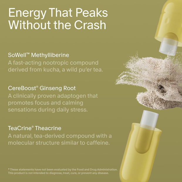 Seed AM-02 Energy + Focus - Daily Nootropic Supplement for Women & Men - Fast-Acting & Sustained Energy for Up to 6 Hours - Caffeine-Free Vegan & Shelf-Stable - 30 Capsules (30-Day Supply)