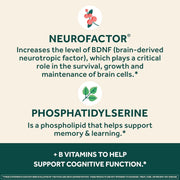 NEURIVA Plus Brain Supplement for Memory and Focus Clinically Tested Nootropics for Concentration for Mental Clarity, Cognitive Enhancement Vitamins B6, B12, Phosphatidylserine 30 Capsules