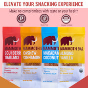 Mammoth Bar Variety Pack – 10 Organic Protein Bars – Prebiotic • Paleo • Gluten Free • Egg Protein • GMO Free • Raw • Premium Nuts