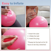 Small Exercise Ball, 9 Inch Mini Pilates Ball, Anti Burst and Slip Resistant Mini Yoga Ball for Stability, Fitness, Physical Therapy, Stretching & Core Strength Workout at Home Gym & Office