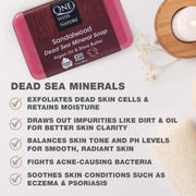 One With Nature Dead Sea Salt Sandalwood Soap 4oz 3-Pack – Purifying and Exfoliating Soap Bar with Dead Sea Minerals and Sandalwood for Face & Body, for Men & Women