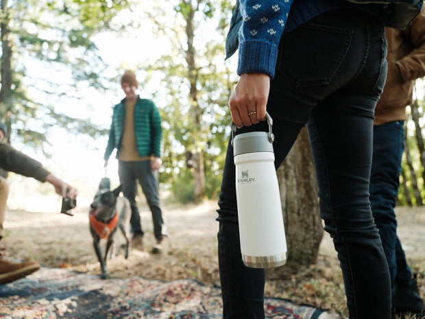 Stanley IceFlow Flip Straw Water Bottle 22 oz | Built-In Straw for Travel and Sports | Lightweight and Leak Resistant | Insulated Stainless Steel | BPA-Free | Polar