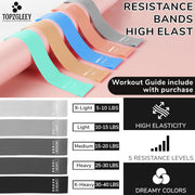 TOPZGLEEY Pilates Ring and Ball Set with Resistance Bands - Pilates Equipment for Home Workout - 14'' & 12'' Pilates Rings, 2 Pilates Balls, 5 Resistance Bands,Guide