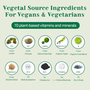 NEVISS Vegan Multivitamin for Women & Men w/Methyl B12, D3 K2, Plant Based Omega 3 (DHA+EPA), Iron, Choline, Zinc, Whole Food Daily Vitamins Gummies for Vegans & Vegetarians, Sugar Free, 60Cts