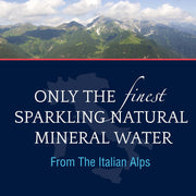 S.Pellegrino Sparkling Natural Mineral Water, 8.45 fl oz. Glass Bottle (24 Count)