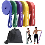 Resistance Bands Set - Pull Up Bands for Men Women, Exercise Bands Resistance with Door Anchor, Training Poster & Pouch for Body Stretching, Pull Up Assist