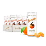 Sovány Sparkling Water, Green Apple, Seltzer Water Drinks, USDA Organic, Made With Real Fruit, Non-GMO, Vegan, No Added Sugar, Low Calorie, 12 fl oz, 12 Pack