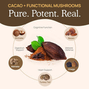 Real Mushrooms Organic Hot Chocolate Mix with Reishi, Turkey Tail, Chaga, Shiitake, Maitake – Cacao Powder Organic Mushroom– 5 Defenders Mushroom Cacao Powder, Vegan, Gluten-Free, 15 Servings