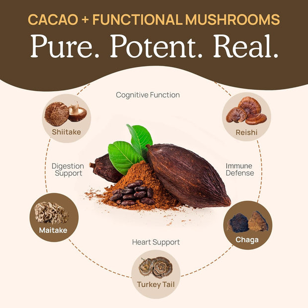 Real Mushrooms Organic Hot Chocolate Mix with Reishi, Turkey Tail, Chaga, Shiitake, Maitake – Cacao Powder Organic Mushroom– 5 Defenders Mushroom Cacao Powder, Vegan, Gluten-Free, 15 Servings