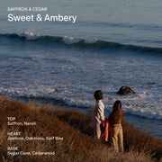 Salt & Stone Body Wash with Antioxidants for Deep Moisture | For Women & Men, Sulfate, Paraben, & Dye Free, Leaving Skin Soft and Hydrated - 15.2 fl oz