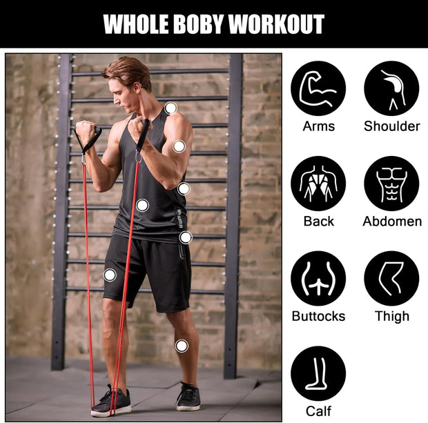 Odoland 5 Packs Pull Up Assist Bands, Pull Up Straps, Resistance Bands with Door Anchor and Handles, Stretch Mobility, Powerlifting and Extra Durable Exercise Bands with eGuide