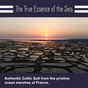 Le Marinier French Sea Salt Grey Coarse, 1.1lb - 18oz. Mineral Rich 100% Natural and Unrefined Celtic Salt Organic. Hand Harvested Mineral Sea Salt, Sel Gris (1.1lb Grey Coarse)