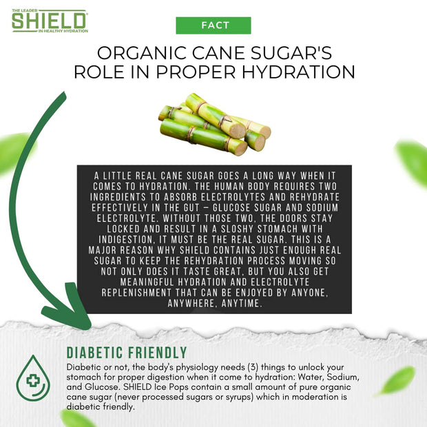 SHIELD Electrolyte Healthy Freeze Pops (3fl.oz) Variety of Natural Flavors from Real Fruit, Clear No Dyes No Artificial Sweeteners, Great Tasting Electrolyte Hydration (36 count)