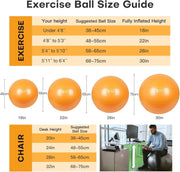 Yoga Ball, 18-30 Inch Extra Thick Exercise Ball for Workout Fitness Balance, Anti Burst Chair for Home and Office Desk, Includes Hand Pump & Workout Guide Access