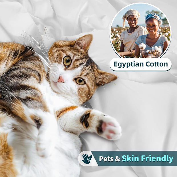 LBRO2M 100% Cotton 1200 Thread Count King Size Sheets Set Deep Pocket Up to16 inches, Bed Sheet 4 Piece (White, King)