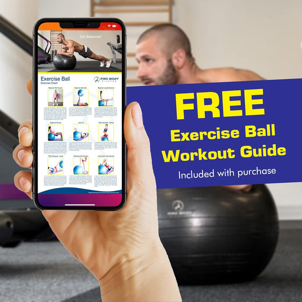 ProBody Pilates Yoga Ball Chair, Exercise Ball Chair with Base or Stand for Home Office Desk Sitting or Workout, 65cm Antiburst Balance & Stability Ball Seat, Large Gym Ball for Back, Abs