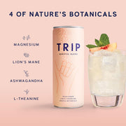 Trip Mindful Blend, Lightly Sparkling Adaptogen Seltzer, Mocktail w/ 120mg Magnesium Citrate with Ashwagandha, Lions Mane & L Theanine, No Added Sugar, Vegan, Peach Ginger, 12 Oz, 12Pk