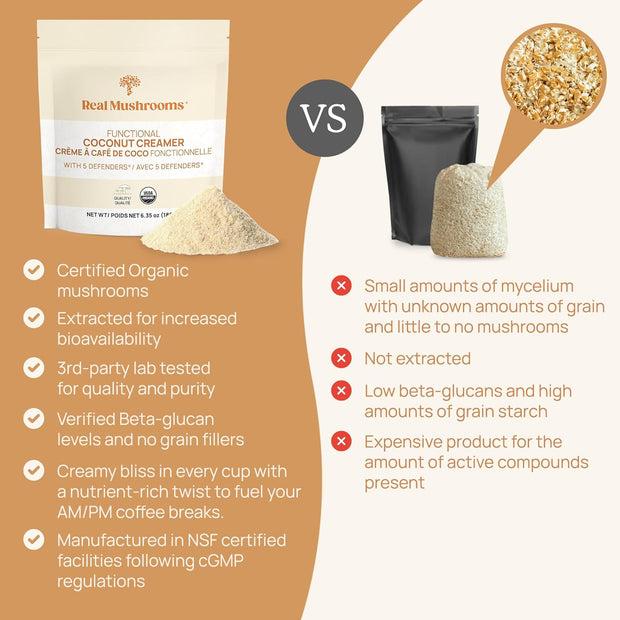 Real Mushrooms Organic Hot Chocolate Mix with Reishi, Turkey Tail, Chaga, Shiitake, Maitake – Cacao Powder Organic Mushroom– 5 Defenders Mushroom Cacao Powder, Vegan, Gluten-Free, 15 Servings