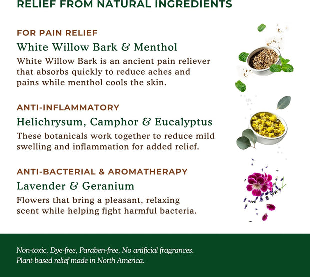 Nature's Willow Willow Balm Natural Pain Relief Cream for Muscles & Joints | Fast-Acting with Willow Bark & Menthol | Free from Artificial Fragrances & Dyes | 1-Pack | 3.5 fl oz