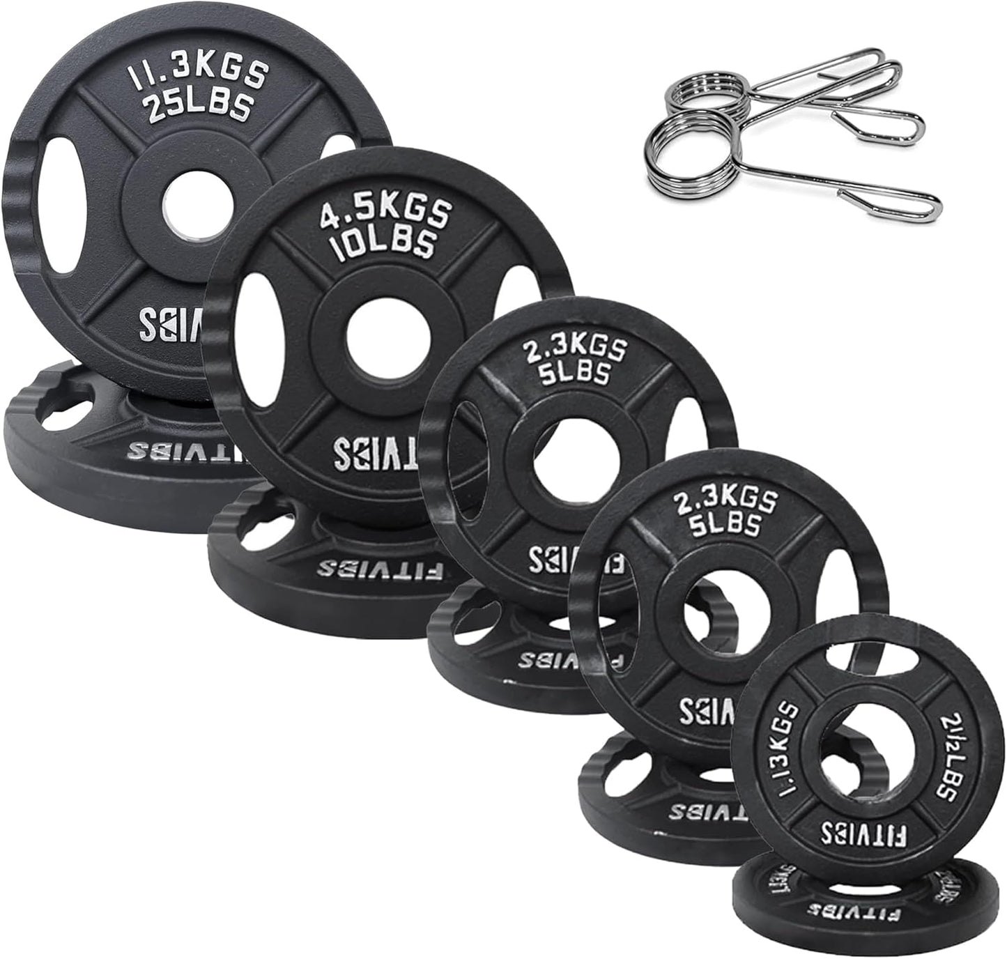 2-Inch Olympic Cast Iron Plate Weight Plate for Strength Training and Weightlifting, Multiple Sizes