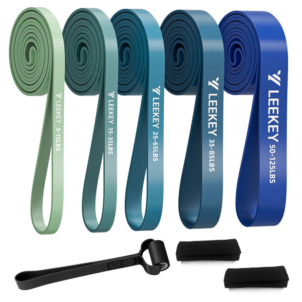 LEEKEY Resistance Bands Set for Pull-Up Assistance & Full-Body Training, Multi-Level Exercise Bands with Bag for Home Workouts, Physical Therapy, Strength Training (Men/Women)