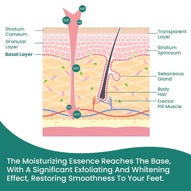 Welnove Moisturizing Heel Socks - 2 Pairs Aloe Vera Extract Infused Gel Lining for Dry Feet - Cracked Heel Repair Treatment - Cotton Socks for Women Men Foot Care (Regular Sizes)