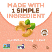PB2 Powdered Cashew Butter - Cashew Powder with No Added Sugar or Salt [1lb Jar]