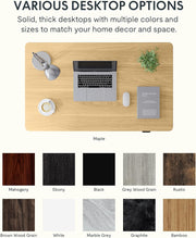 FLEXISPOT EN1 Whole-Piece Standing Desk, 48 x 24 Inches Height Adjustable Desk Stand up Desk Home Office Table for Computer Laptop (White Frame + Maple Desktop)