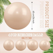Leyndo 4 Pcs 26 Inch Yoga Exercise Ball Pilates Pregnancy Birthing Fitness Ball with Quick Pump Anti Burst for Improved Posture, Balance, Yoga, Pilates, Training