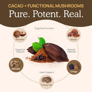 Real Mushrooms Organic Hot Chocolate Mix with Reishi, Turkey Tail, Chaga, Shiitake, Maitake – Cacao Powder Organic Mushroom– 5 Defenders Mushroom Cacao Powder, Vegan, Gluten-Free, 15 Servings