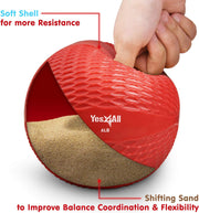 Yes4All Weighted Toning Balls for Exercise, Soft Medicine Balls for Exercise, Pilates, Yoga, Balance, Flexibility, 2-10lbs