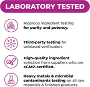 Multivitamin for Women – Essential Womens Multivitamins & Multiminerals 60 Capsules with Vitamin B12, A, D, C, Zinc, Magnesium & More for Total Body Wellness – 20+ Key Nutrients & Vitamins for Women