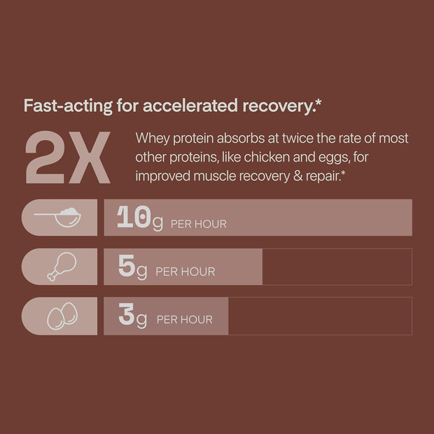 Whey Protein Powder, Chocolate Brownie, 25 Grams of Protein and Only 1 Gram of Sugar per Serving, 2 lbs, 25 Servings