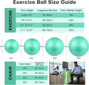 Yoga Ball, 18-30 Inch Extra Thick Exercise Ball for Workout Fitness Balance, Anti Burst Chair for Home and Office Desk, Includes Hand Pump & Workout Guide Access